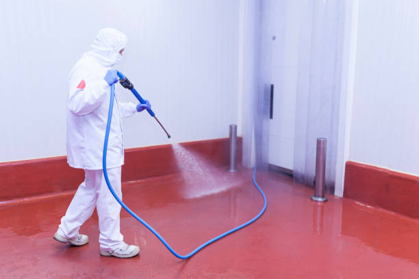 Best Sign and Awning Cleaning  in Van Meter, IA
