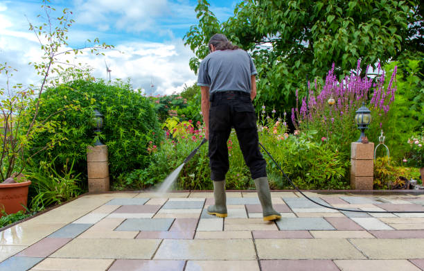 Professional Pressure Washing Services in Van Meter, IA